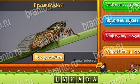 ответы на игру в одноклассниках Угадай животных Уровень 357