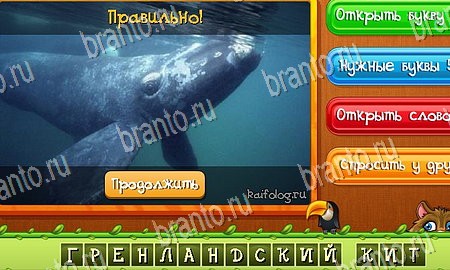 Одноклассники Угадай животных ответы Уровень 359