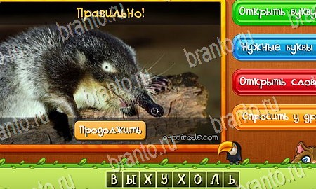 Угадай животных решения на игру из одноклассников Уровень 363