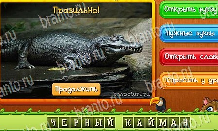 Угадай животных игра в контакте подсказки Уровень 365
