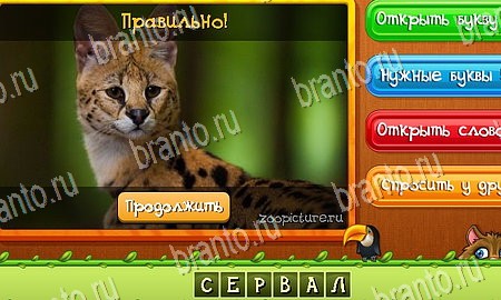 Игра Угадай животных ответы одноклассники, вк Уровень 368
