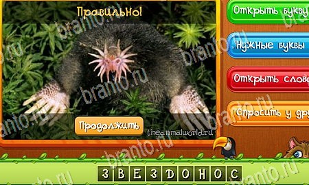 игра Угадай животных помощь одноклассники Уровень 370