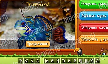 игра Угадай животных ответы в одноклассниках на Уровень 371