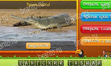 решебник на игру Угадай животных Уровень 372