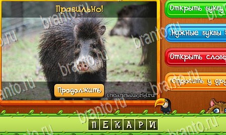 Угадай животных игра из одноклассников решения Уровень 373