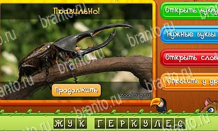 ответы на игру Угадай животных в одноклассниках Уровень 376