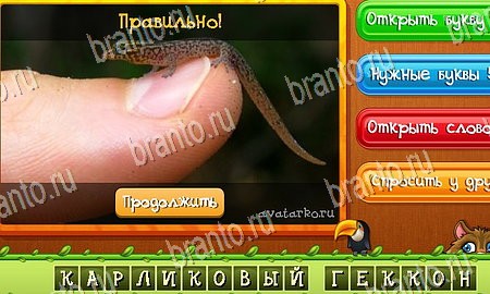 Подсказки на игру Угадай животных Эпизод 16 Уровень 378