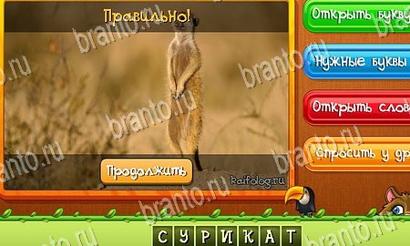 Решения на игру Угадай животных Эпизод 16 Уровень 379