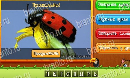 Помощь на игру ВК Угадай животных Уровень 380