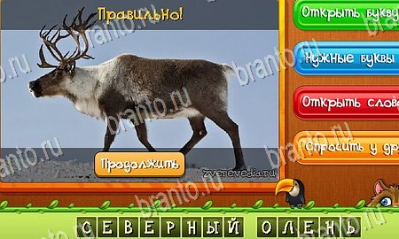 ответы к игре Угадай животных в контакте Уровень 381