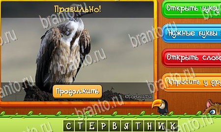 ответы на игру в одноклассниках Угадай животных Уровень 382