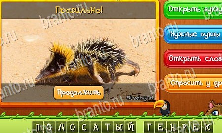 Одноклассники Угадай животных ответы Уровень 384