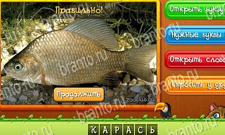 решебник на игру Угадай животных Уровень 387