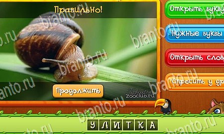 Угадай животных решения на игру из одноклассников Уровень 388