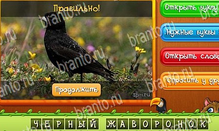 Угадай животных игра в одноклассниках помощь Уровень 391