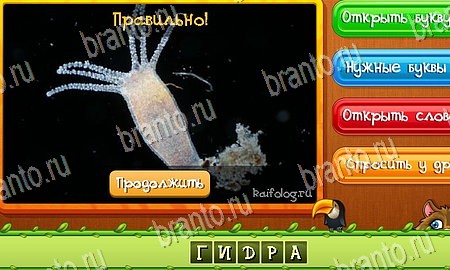 Угадай животных ответы в картинках в контакте Уровень 392