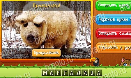 Игра Угадай животных ответы одноклассники, вк Уровень 393