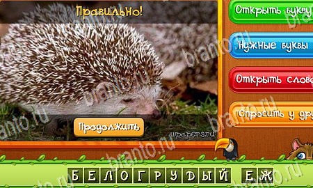 Игра Угадай животных подсказки вк Уровень 394