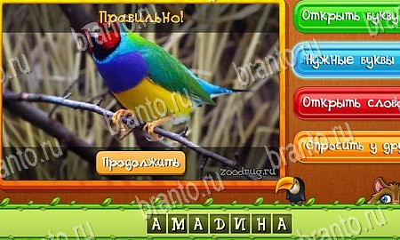 игра Угадай животных помощь одноклассники Уровень 395