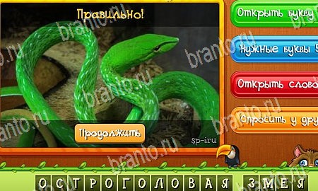 решебник на игру Угадай животных Уровень 397