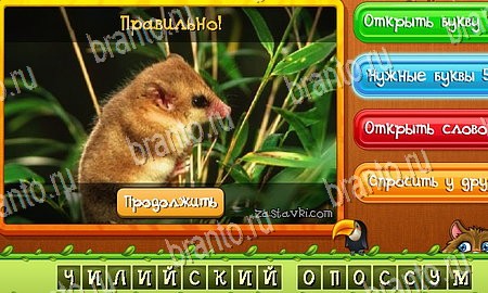 Угадай животных игра вконтакте подсказки Уровень 400
