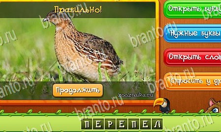 ответы на игру Угадай животных в одноклассниках Уровень 201