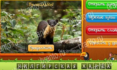 Подсказки на игру Угадай животных Эпизод 9 Уровень 203