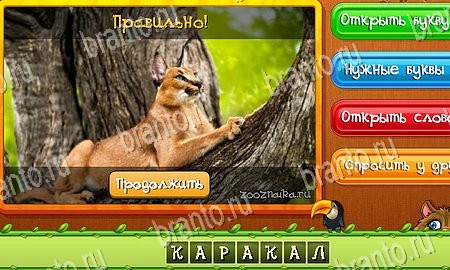 ответы к игре Угадай животных в контакте Уровень 206