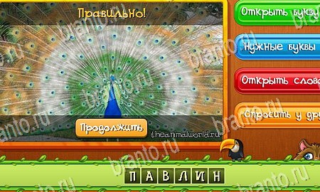 Угадай животных игра ответы в одноклассниках Уровень 208