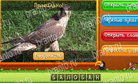 Одноклассники Угадай животных ответы Уровень 209