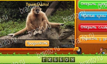 Угадай животных подсказки в контакте Уровень 210