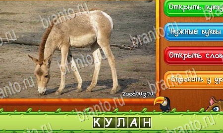 игра Угадай животных разгадки, ответ на Уровень 211