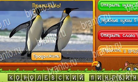 Угадай животных решения на игру из одноклассников Уровень 213