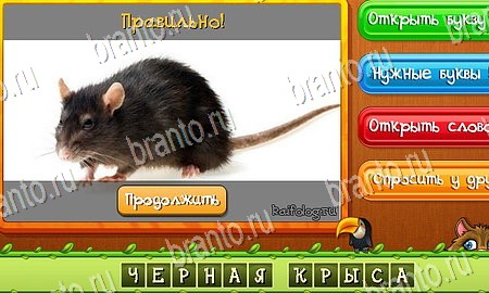 Угадай животных игра в контакте подсказки Уровень 215