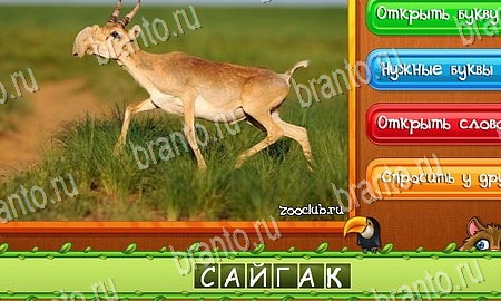 Угадай животных ответы в картинках в контакте Уровень 217