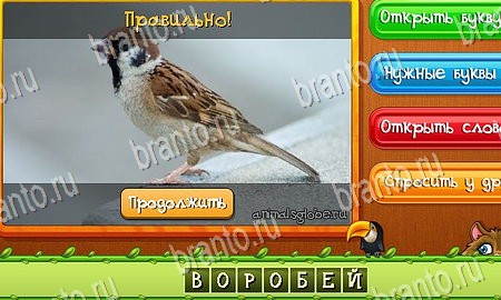 Игра Угадай животных подсказки вк Уровень 219