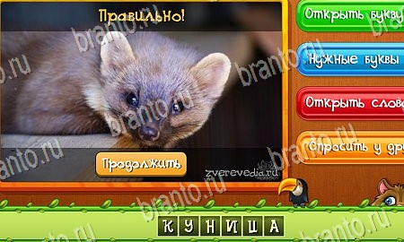 игра Угадай животных помощь одноклассники Уровень 220