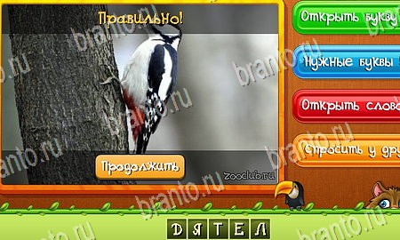 игра Угадай животных ответы в одноклассниках на Уровень 221
