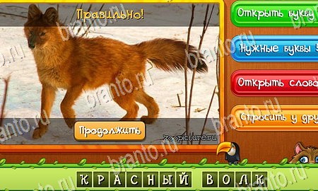 решебник на игру Угадай животных Уровень 222