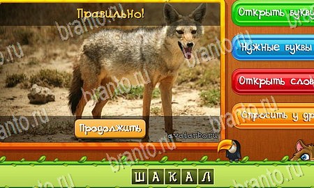 Угадай животных игра из одноклассников решения Уровень 223