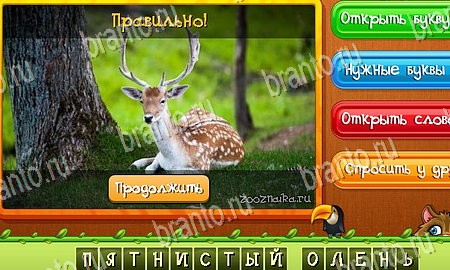 Угадай животных игра ответы ВК Уровень 224