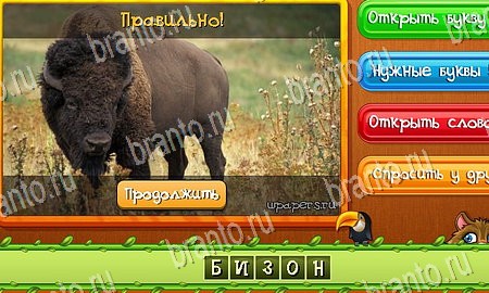 ответы на игру Угадай животных в одноклассниках Уровень 226