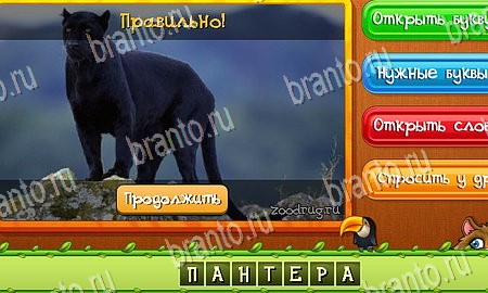 Решения на игру Угадай животных Эпизод 10 Уровень 229