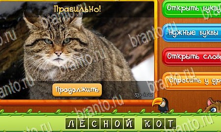Помощь на игру ВК Угадай животных Уровень 230