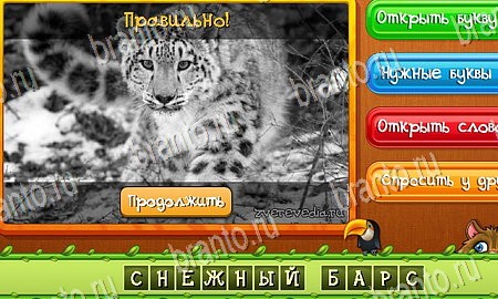 ответы на игру в одноклассниках Угадай животных Уровень 232