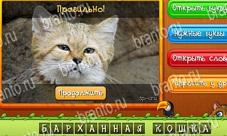 Одноклассники Угадай животных ответы Уровень 234