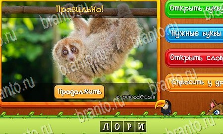 Угадай животных подсказки в контакте Уровень 235