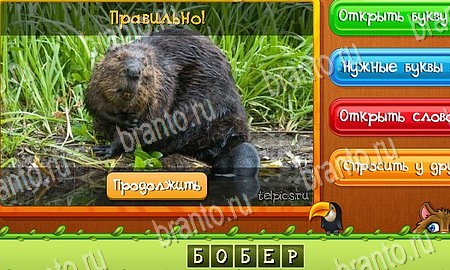 решебник на игру Угадай животных Уровень 237