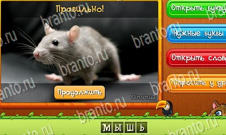 Угадай животных игра в контакте подсказки Уровень 240