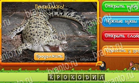 Угадай животных игра в одноклассниках помощь Уровень 241